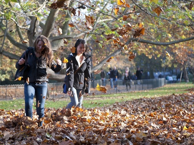 Students playfully kicking leaves in a London park