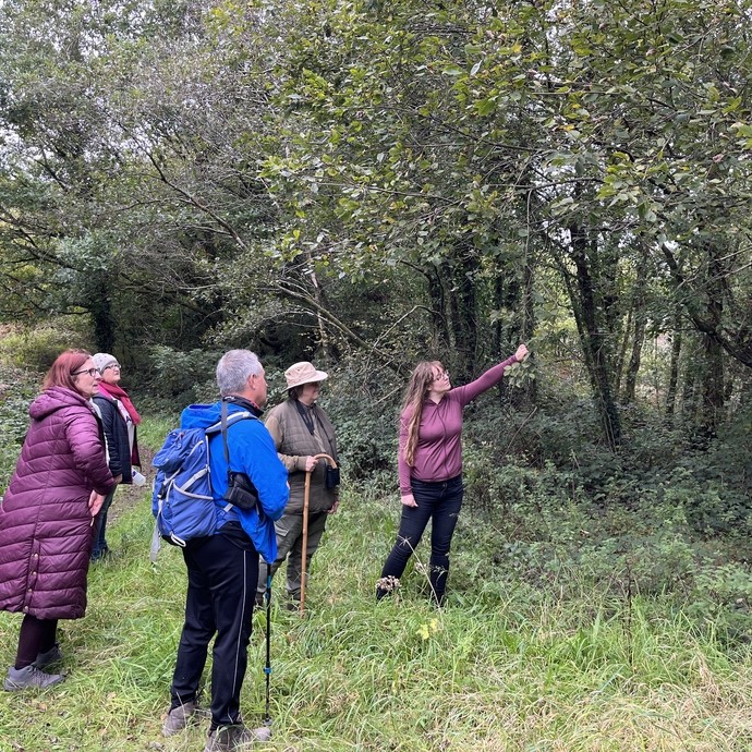 Walkers enjoying the countryside