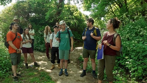 A group of young people pause during a walk down a woodland path.